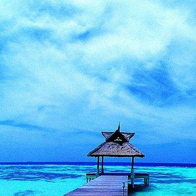 赏金女王免费安卓下载